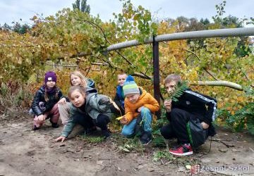 Spacer do lasu kl.IIb